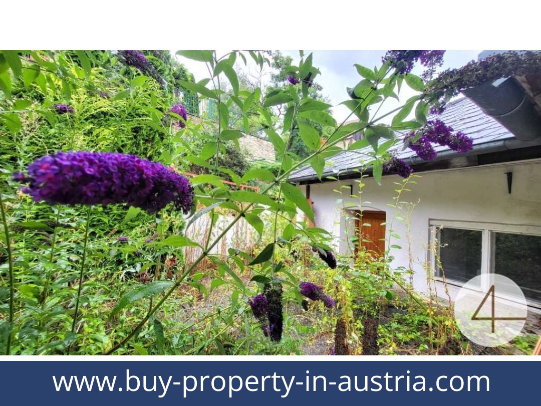 buy-property-in-austria-schonberg am kamp-3562-20250915224748-0014701009.jpg